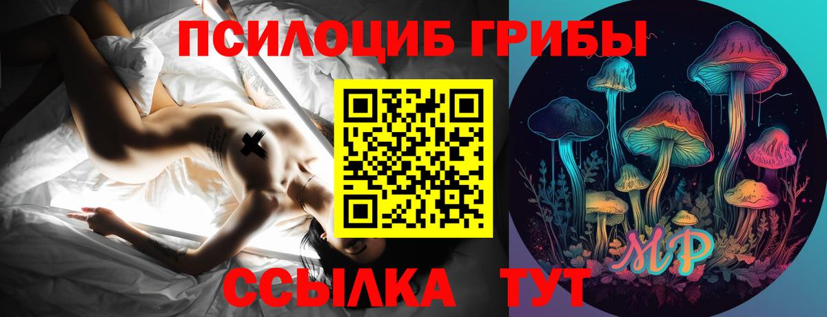 Галлюциногенные грибы Magic Shrooms Чернушка